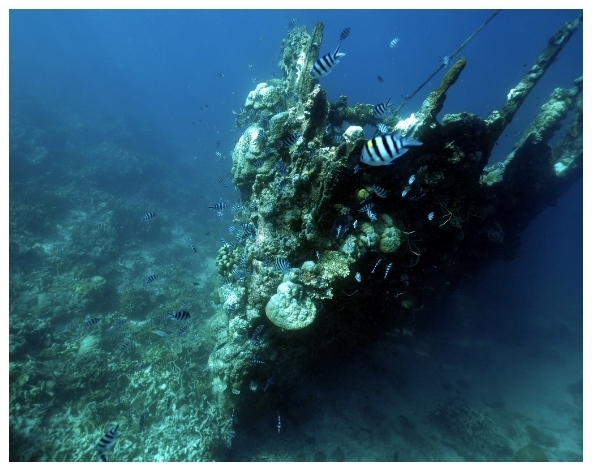 【跳島出海】盧松砲艦沈船→帕斯島→珊瑚花園→東沈船→露天海水溫泉