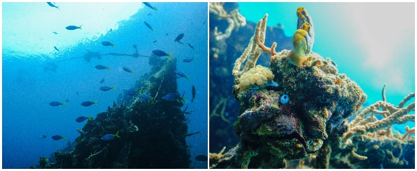 【跳島出海】盧松砲艦沉船→珊瑚花園→帕斯島→帕斯島上玩水休憩→菲式手抓飯