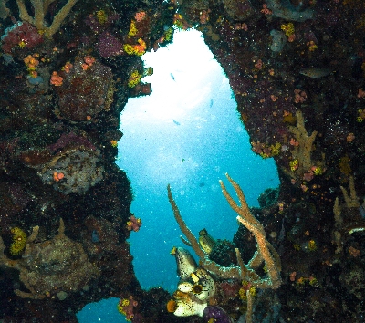 【跳島出海】盧松砲艦沉船→珊瑚花園→帕斯島→帕斯島上玩水休憩→菲式手抓飯